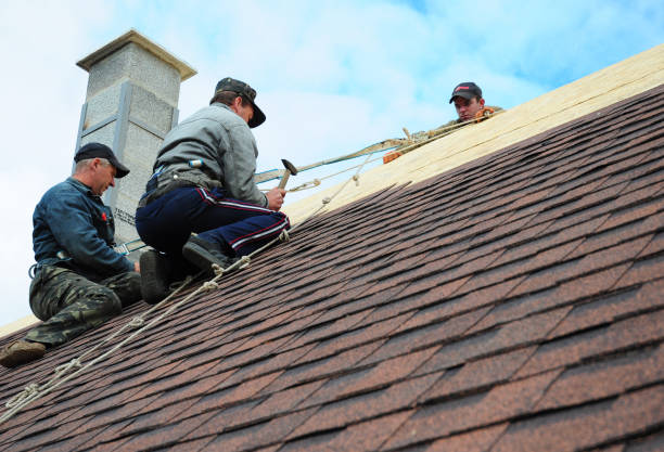 Best Local Roofing Companies  in St Maries, ID